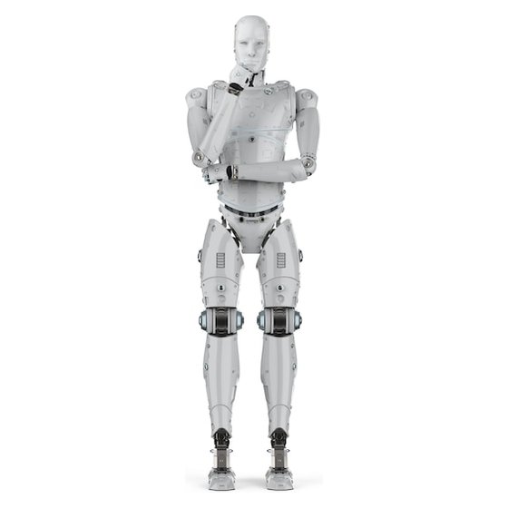 Humanoid robot with articulated arms and legs